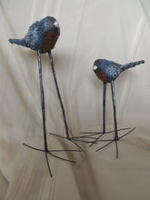 Load image into Gallery viewer, Long Legged Blue Birds
