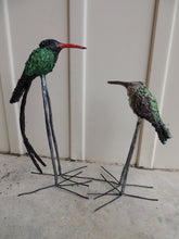 Load image into Gallery viewer, Long Legged Jamaican Hummingbirds (Commissioned)
